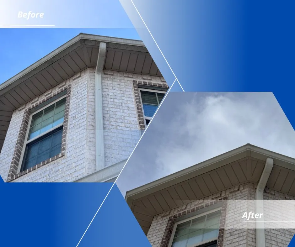 Custom lawn mowing service experts serving Conroe, TX - Coastal Solutions