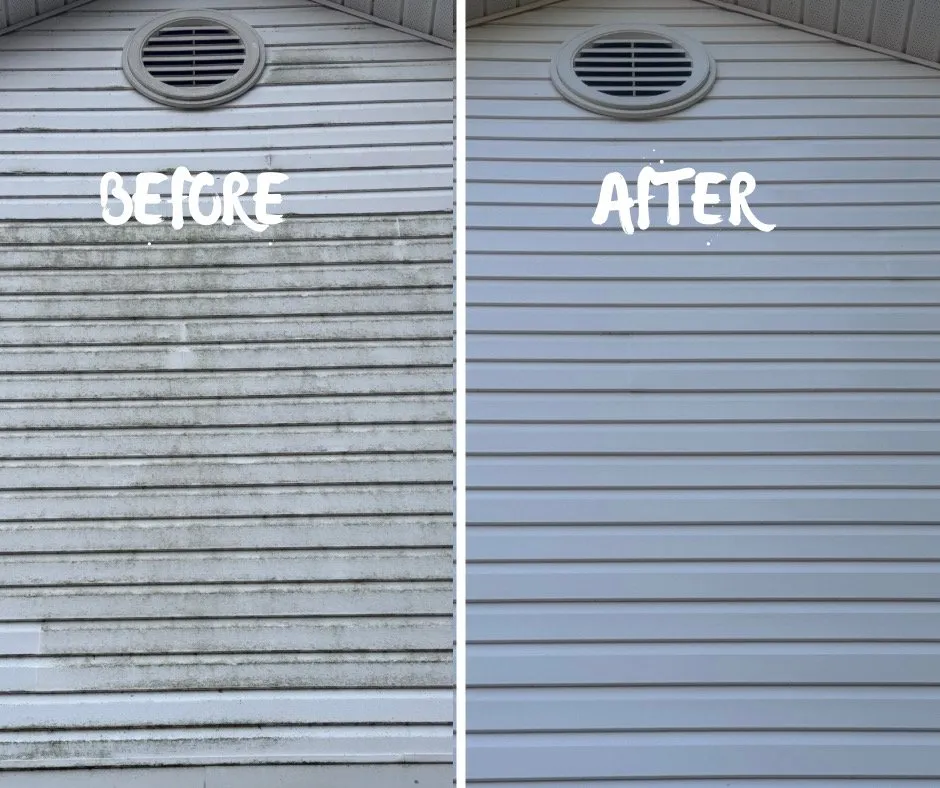 Top-rated lawn care service with custom design in Conroe, TX by Coastal Solutions