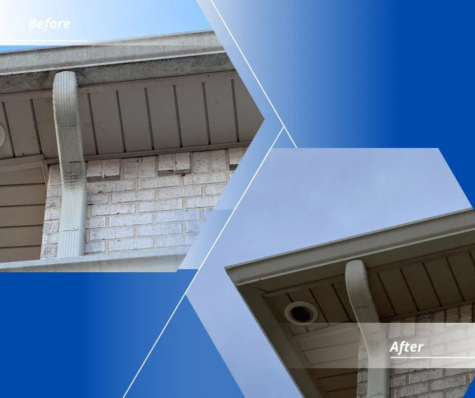 Local outdoor landscaping for beautiful yards in Conroe, TX by Coastal Solutions