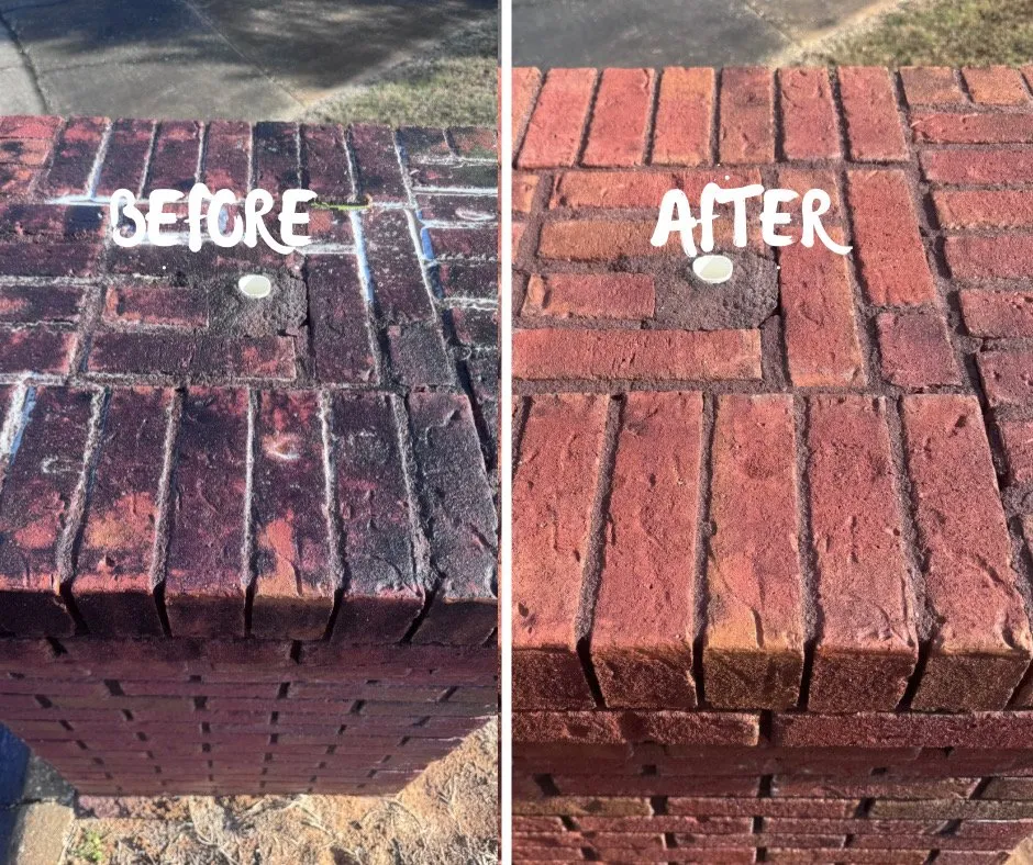 Expert landscaping services in Conroe, TX - Coastal Solutions