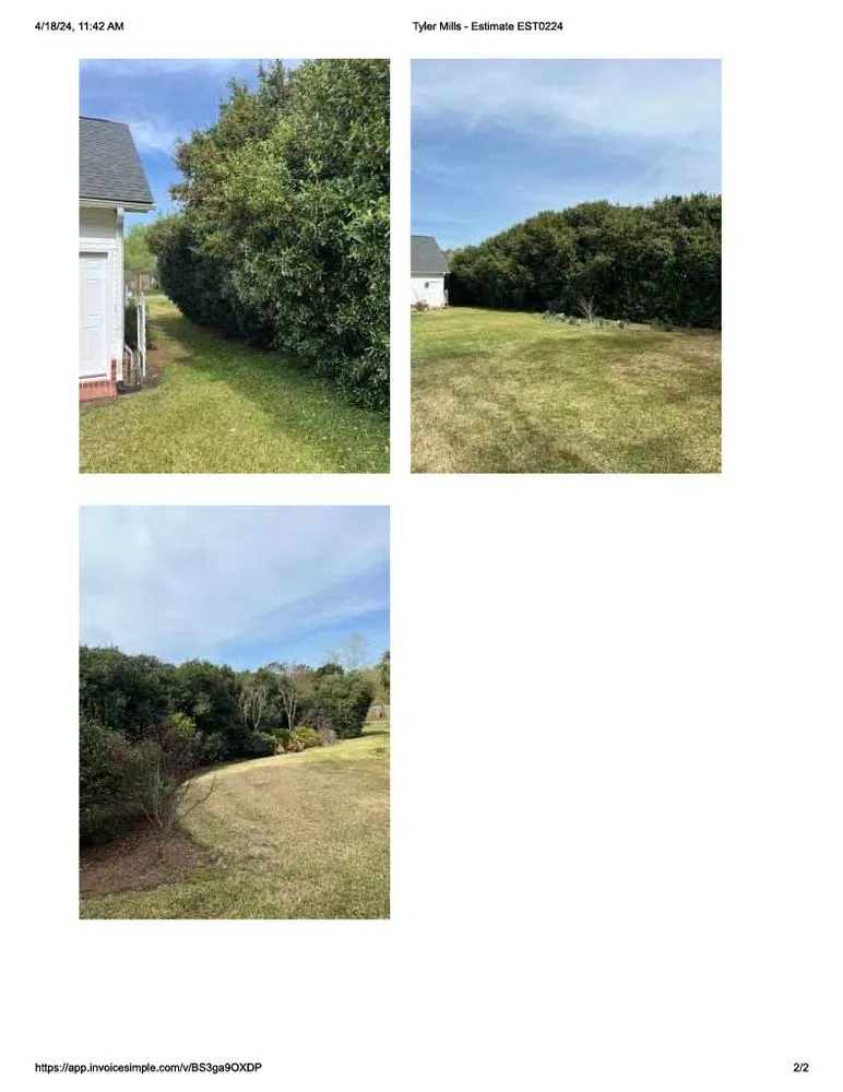 Affordable lawn care service for year-round maintenance across Mount Pleasant, SC - Coastal Tide Land Management