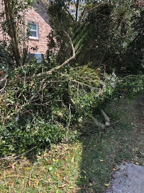 Reliable garden landscaping experts serving Mount Pleasant, SC - Coastal Tide Land Management