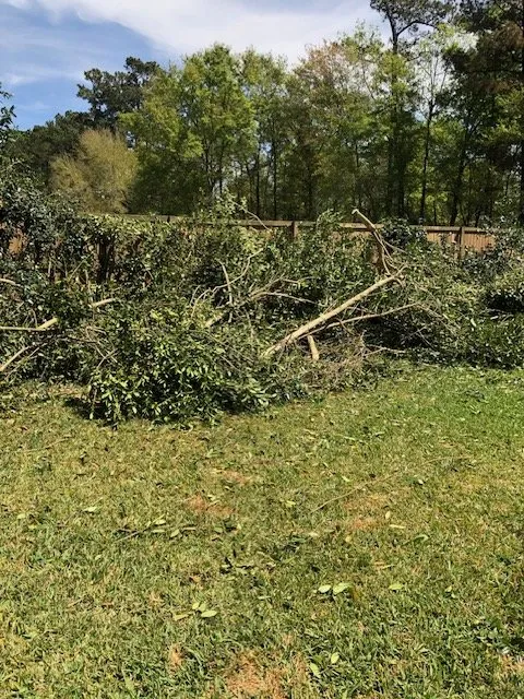 Affordable outdoor landscaping for outdoor upgrades in Mount Pleasant, SC by Coastal Tide Land Management