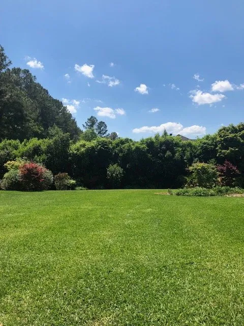 Custom lawn care service experts serving Mount Pleasant, SC - Coastal Tide Land Management