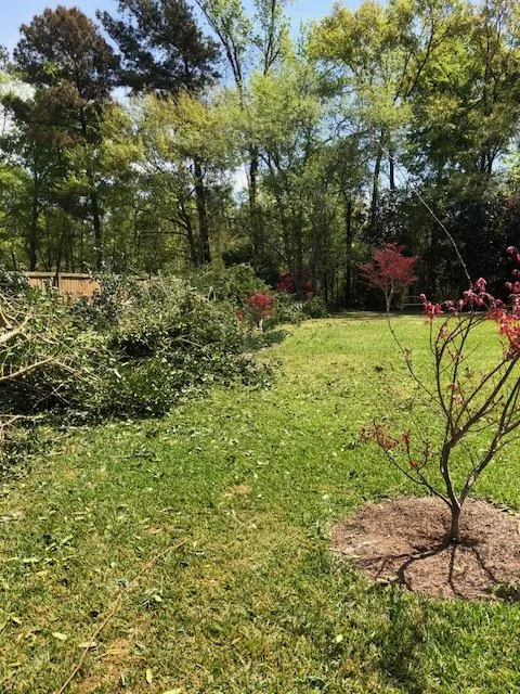 Expert outdoor landscaping in Mount Pleasant, SC by Coastal Tide Land Management