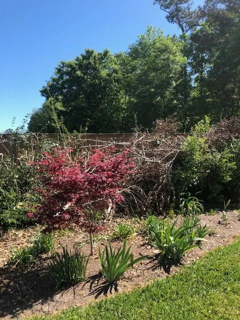 Expert landscape design in Mount Pleasant, SC - Coastal Tide Land Management