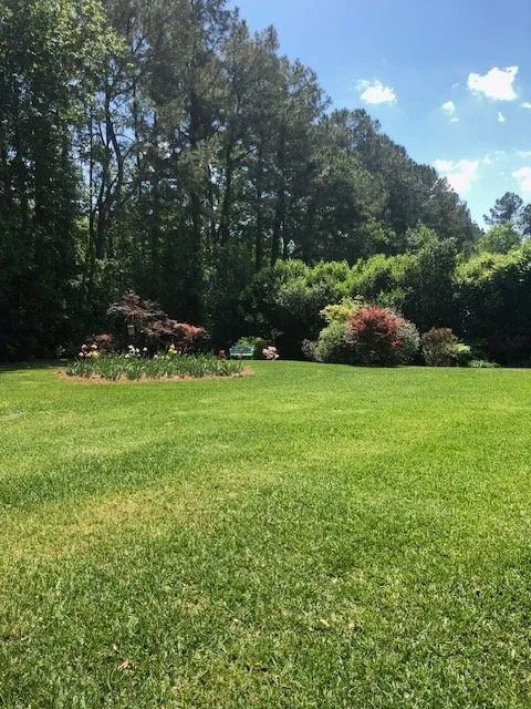 Affordable lawn mowing service experts serving Mount Pleasant, SC - Coastal Tide Land Management