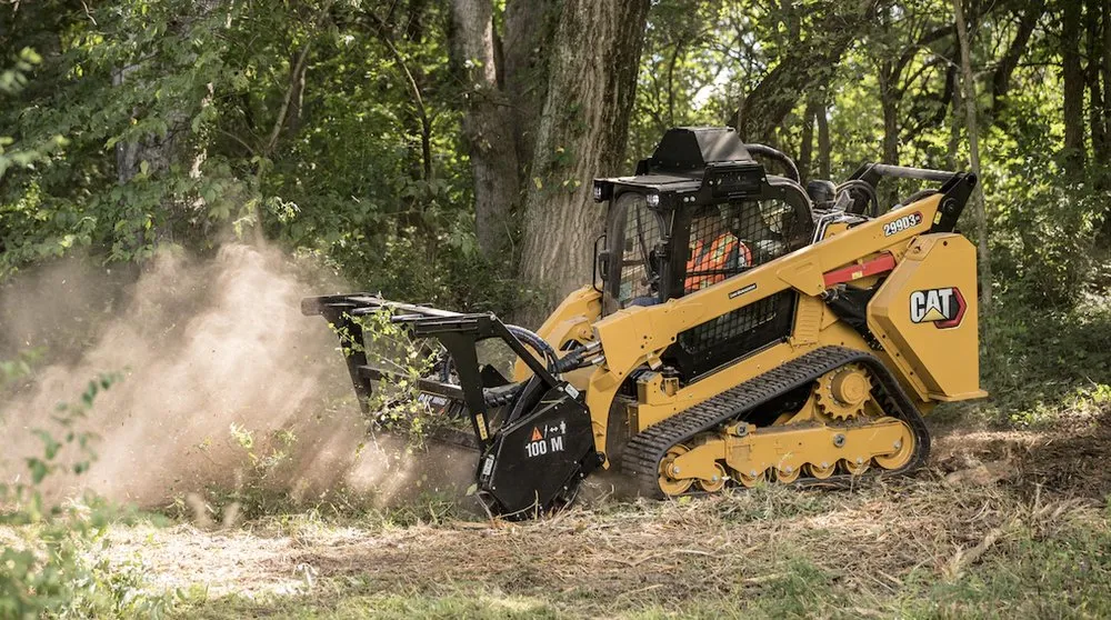 Professional outdoor landscaping in Mount Pleasant, SC by Coastal Tide Land Management