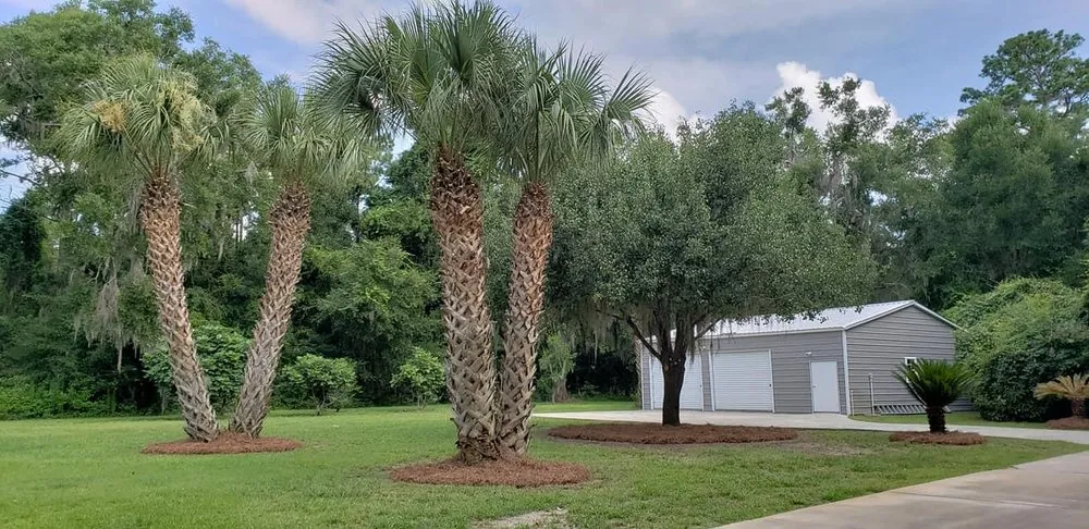 Top-rated landscape design in Midway, GA by Coastal Tide Landscape