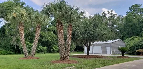 Coastal Tide Landscape
