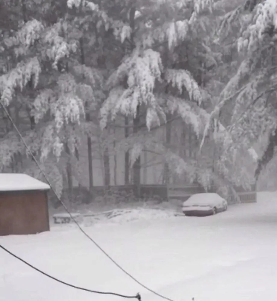 Professional garden landscaping for homes in West Greenwich, RI by Coastal Timber Tree Service