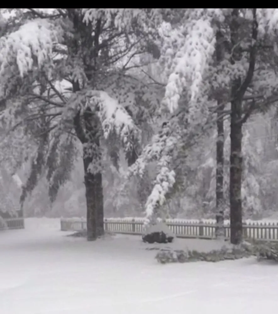 Expert yard maintenance with custom design across West Greenwich, RI - Coastal Timber Tree Service