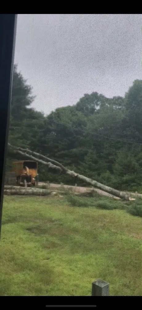 Affordable lawn care service in West Greenwich, RI by Coastal Timber Tree Service