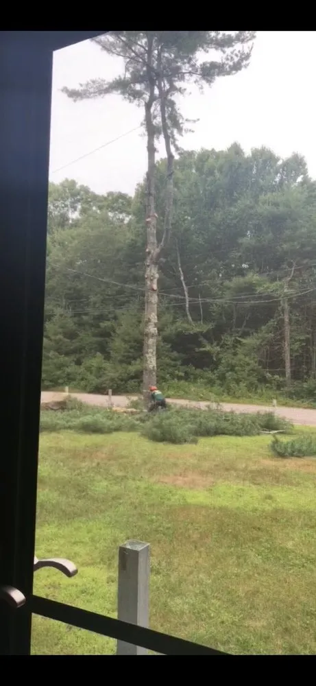 Local landscaping services with custom design across West Greenwich, RI - Coastal Timber Tree Service