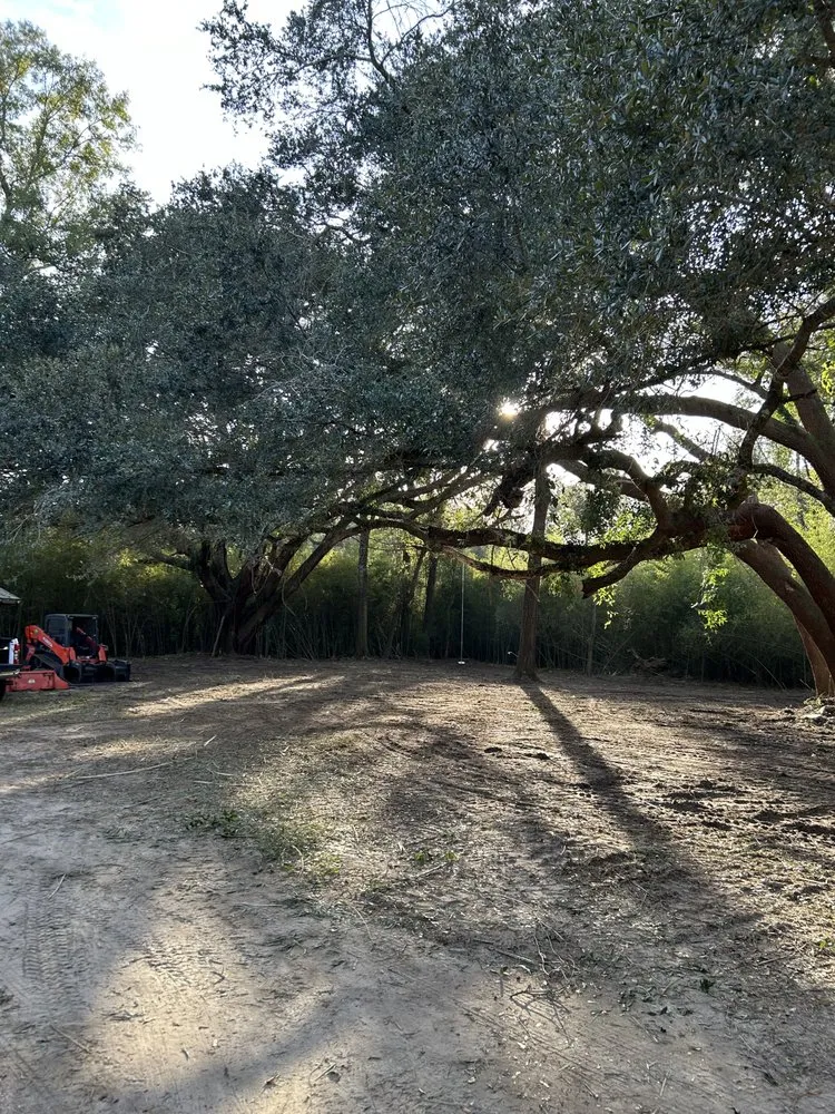 Affordable lawn care service with custom design in Fairhope, AL by Coastal Tree & Land Services