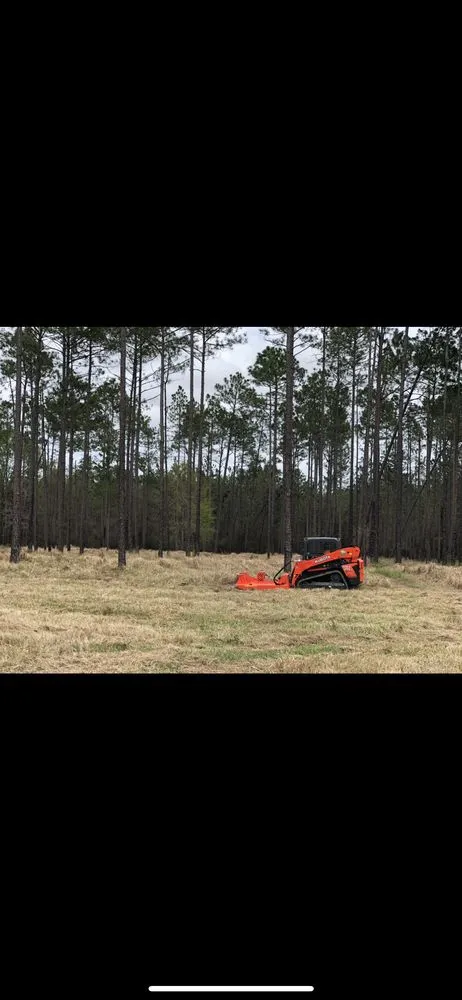 Trusted landscaping services in Fairhope, AL by Coastal Tree & Land Services