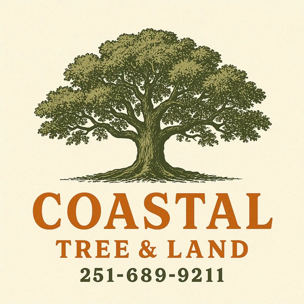Trusted yard cleanup service in Fairhope, AL - Coastal Tree & Land Services