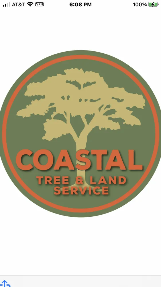 Top-rated yard maintenance for year-round maintenance across Fairhope, AL - Coastal Tree & Land Services