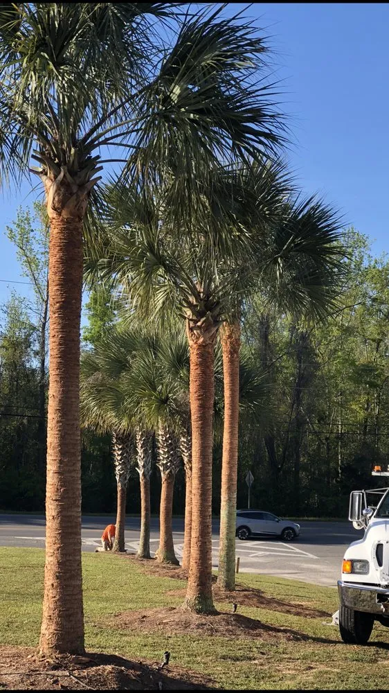 Top-rated lawn care service in Fairhope, AL - Coastal Tree & Land Services