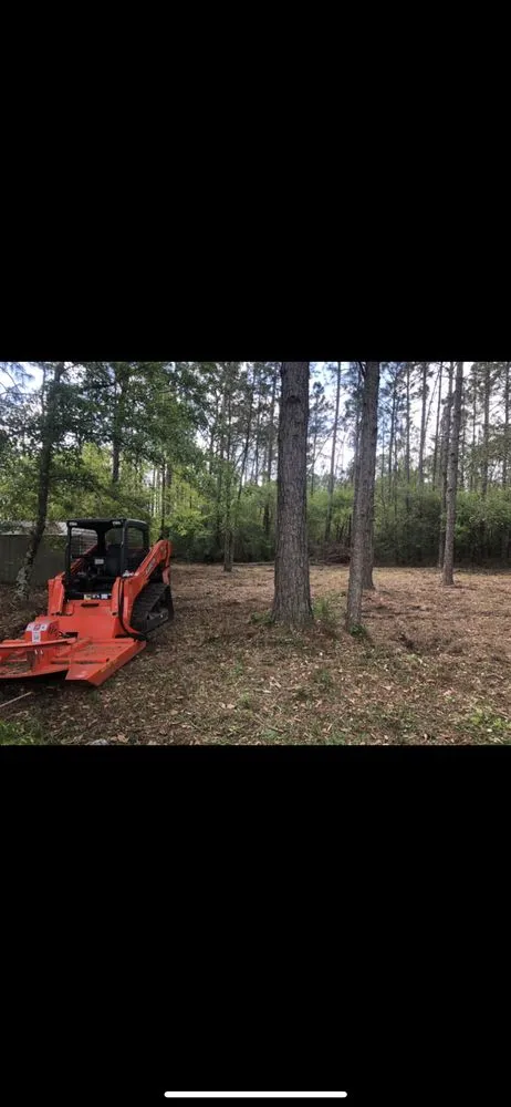 Top-rated residential landscaping for homes across Fairhope, AL - Coastal Tree & Land Services