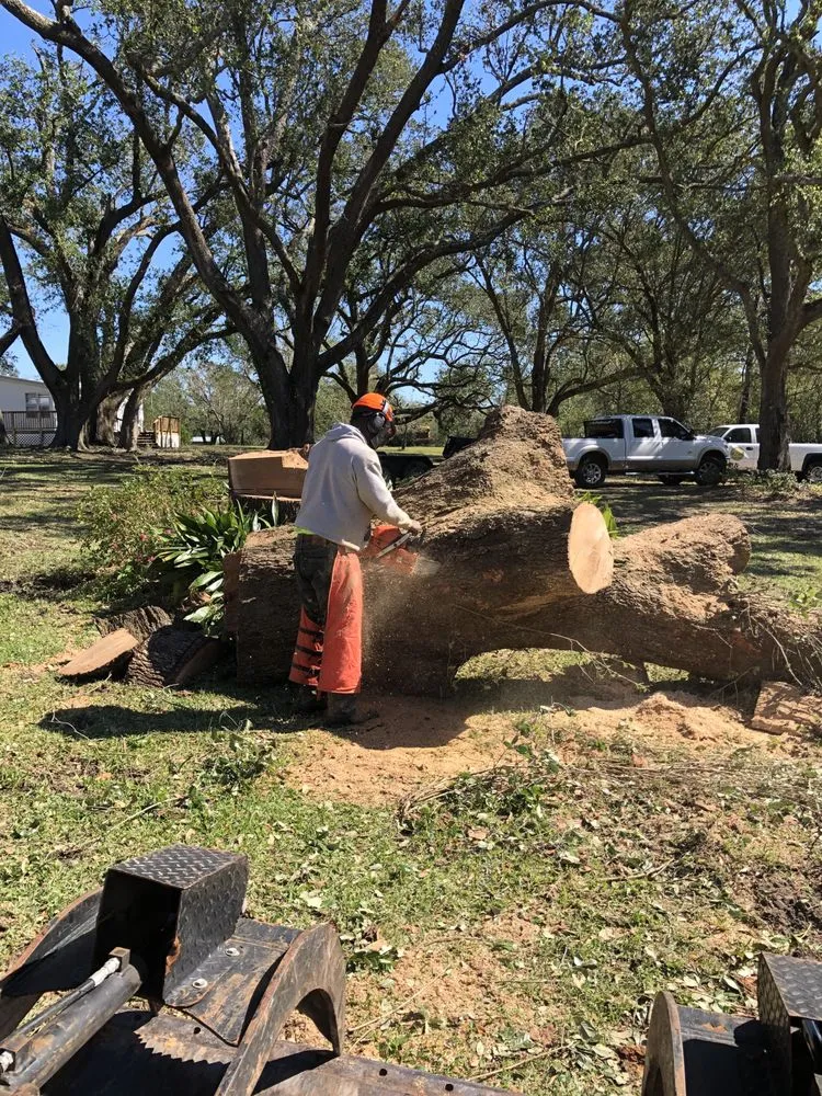 Professional landscape installation with custom design in Fairhope, AL by Coastal Tree & Land Services