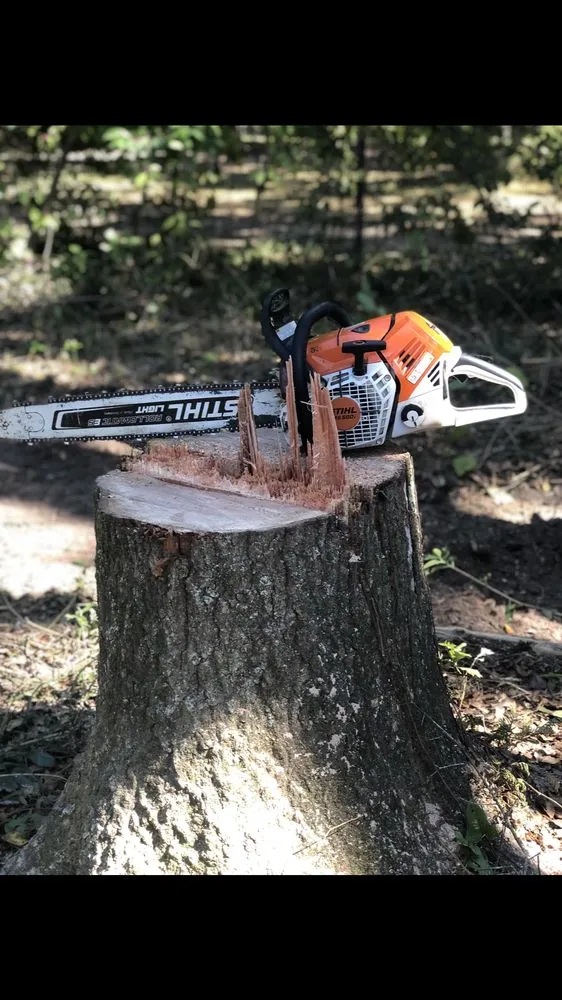Local outdoor landscaping for year-round maintenance across Fairhope, AL - Coastal Tree & Land Services