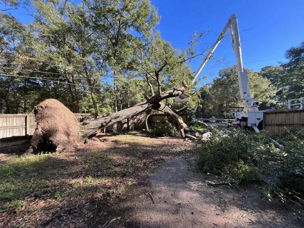 Reliable landscape installation in Fairhope, AL - Coastal Tree & Land Services