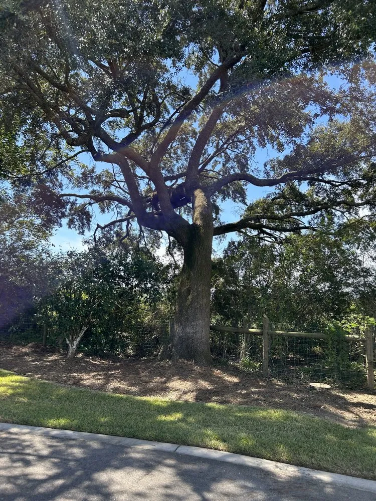 Expert lawn mowing service experts serving Fairhope, AL - Coastal Tree & Land Services