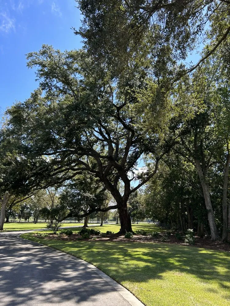 Reliable landscape installation in Fairhope, AL by Coastal Tree & Land Services