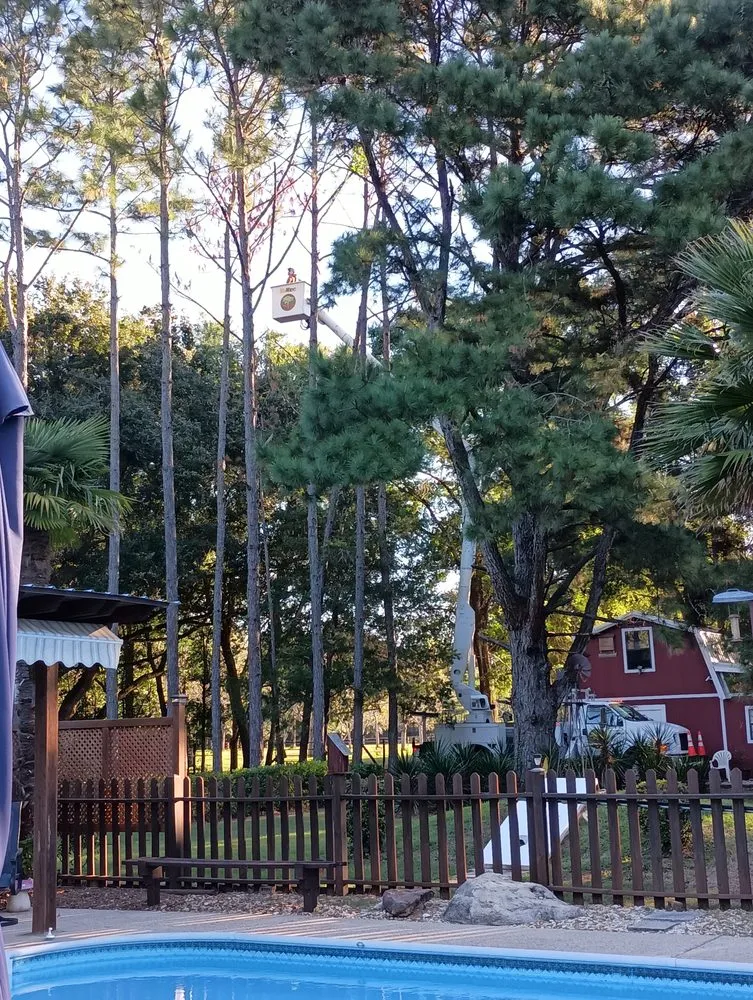 Professional yard maintenance experts serving Fairhope, AL - Coastal Tree & Land Services