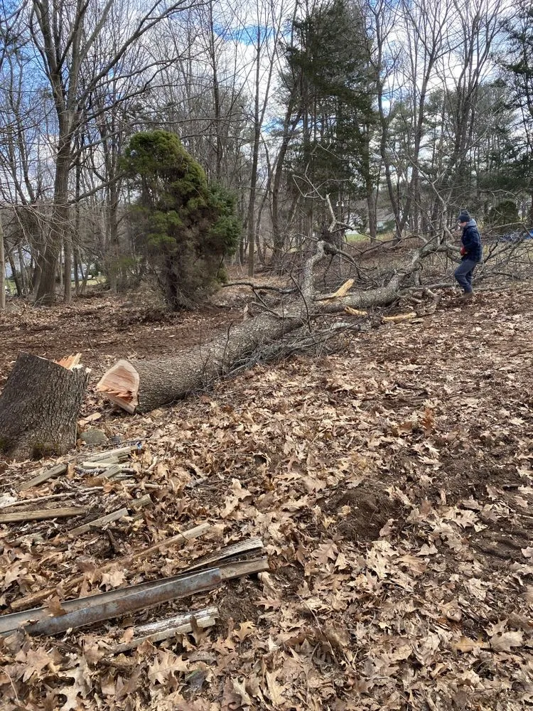 Reliable outdoor landscaping for beautiful yards in North Haven, CT by Coastal tree & landscaping