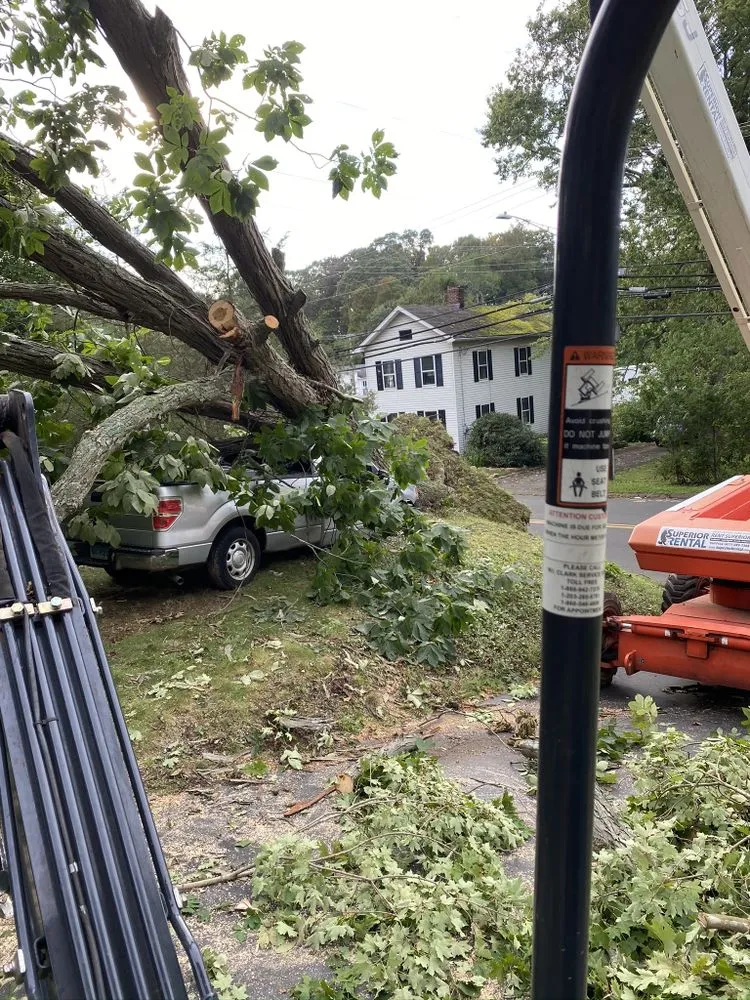 Expert outdoor landscaping in North Haven, CT by Coastal tree & landscaping