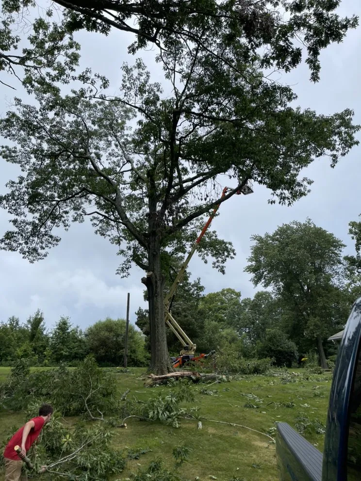 Trusted landscape design experts serving North Haven, CT - Coastal tree & landscaping