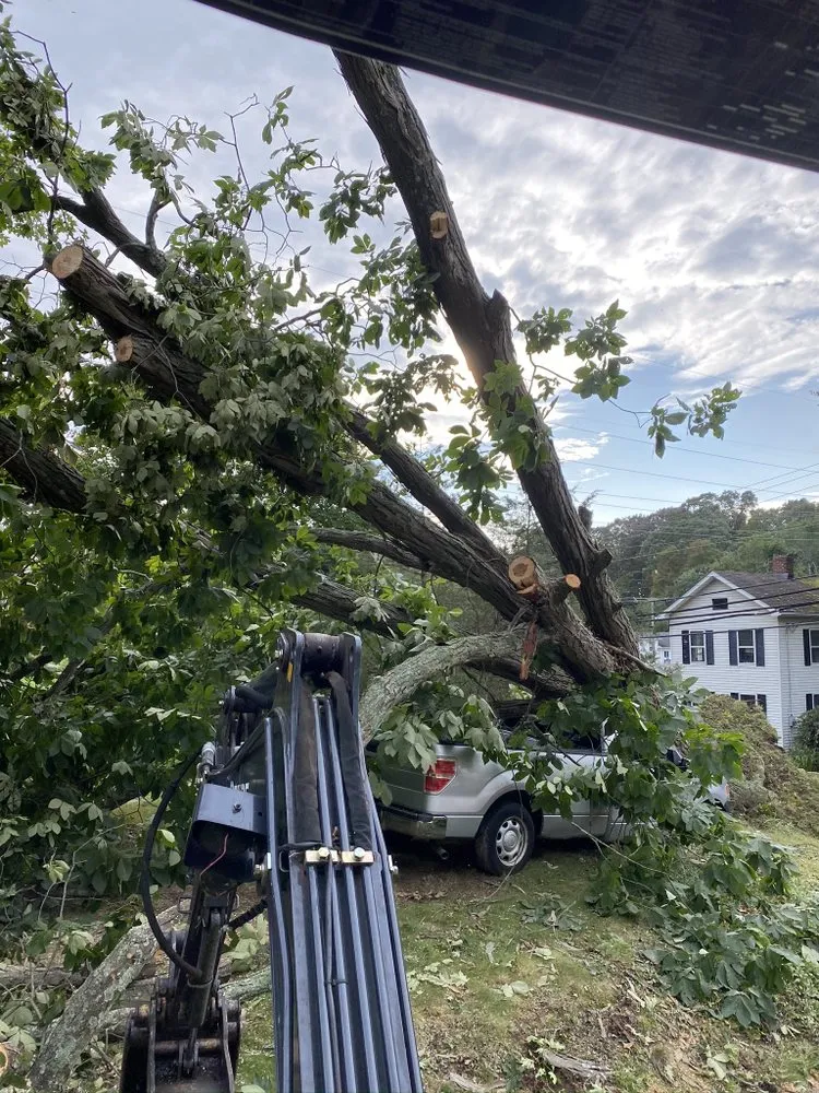 Trusted yard cleanup service experts serving North Haven, CT - Coastal tree & landscaping