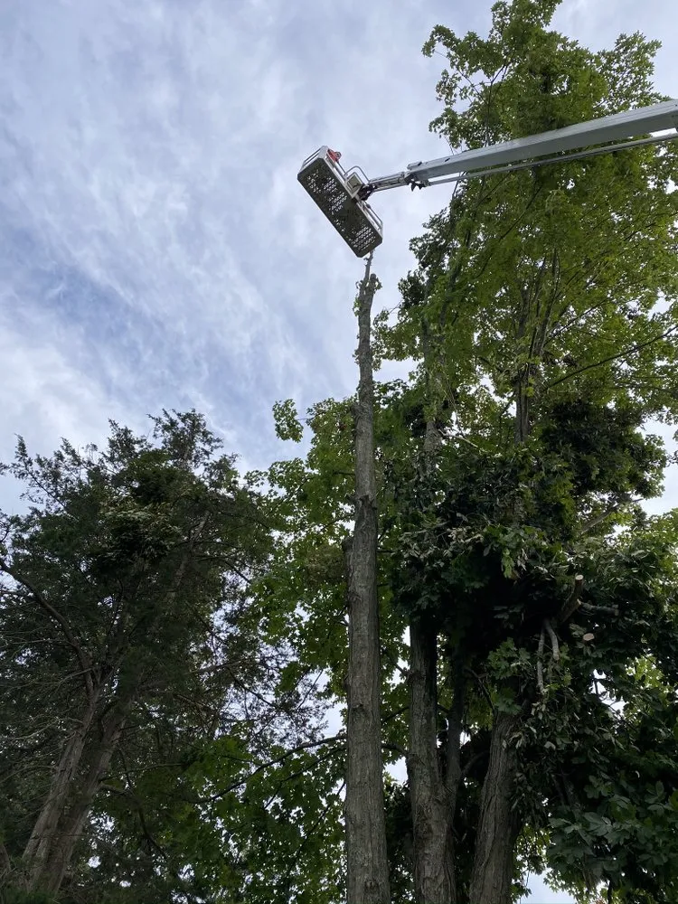 Expert landscape installation experts serving North Haven, CT - Coastal tree & landscaping