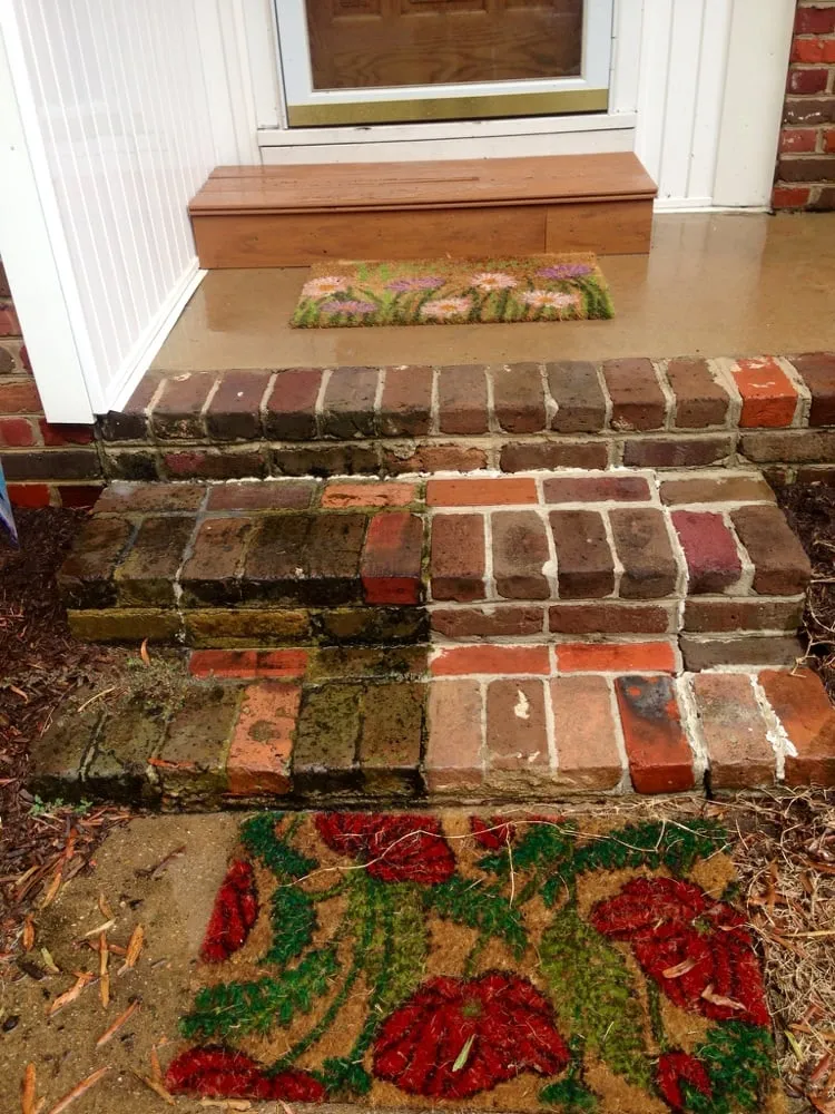 Custom landscape installation experts serving Suffolk, VA - Coastal Turf