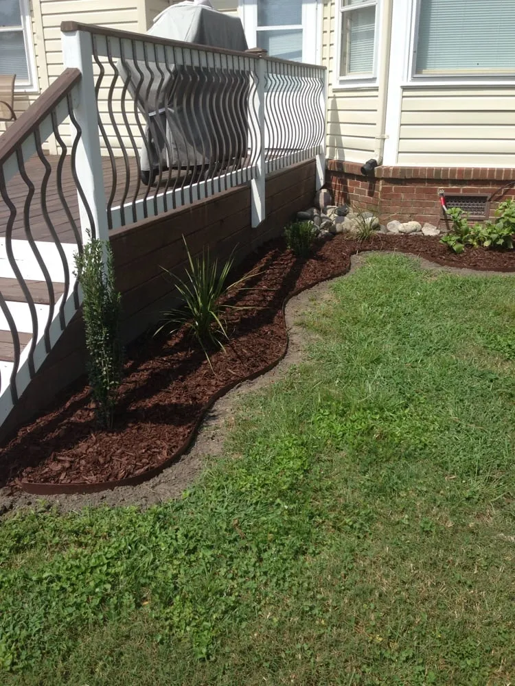 Expert lawn care service in Suffolk, VA by Coastal Turf
