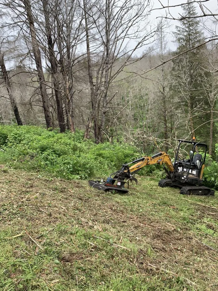 Local yard cleanup service in Grand Ronde, OR - Coastal Valley Brush Clearing Services
