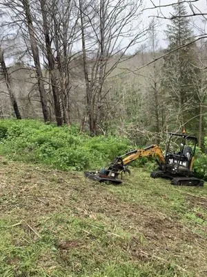 Coastal Valley Brush Clearing Services