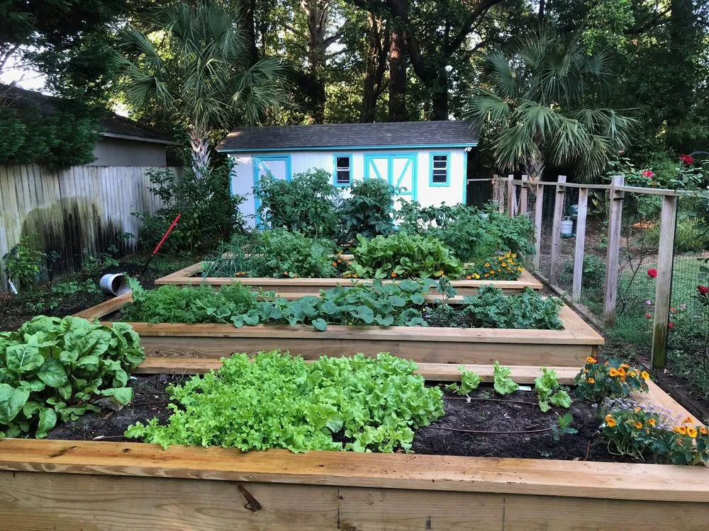 Reliable lawn mowing service in Meggett, SC by Coastal Yard Creations