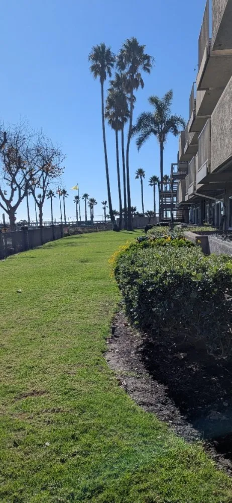 Reliable yard cleanup service for homes across Ventura, CA - Coastland landscape paint services