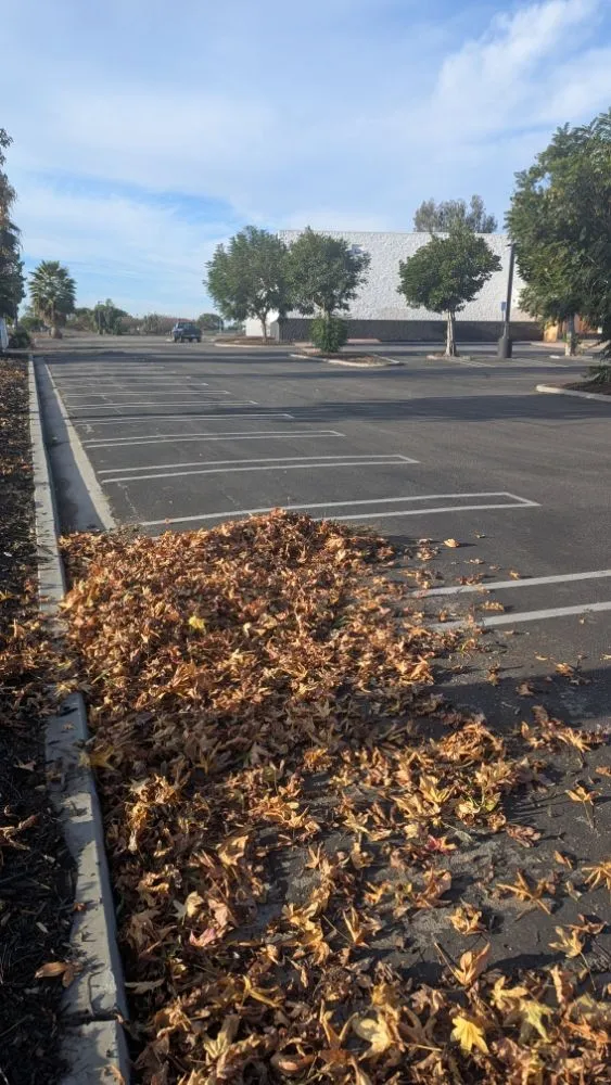 Professional outdoor landscaping for outdoor upgrades across Ventura, CA - Coastland landscape paint services