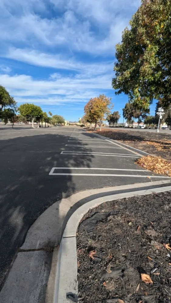 Top-rated landscaping services in Ventura, CA by Coastland landscape paint services