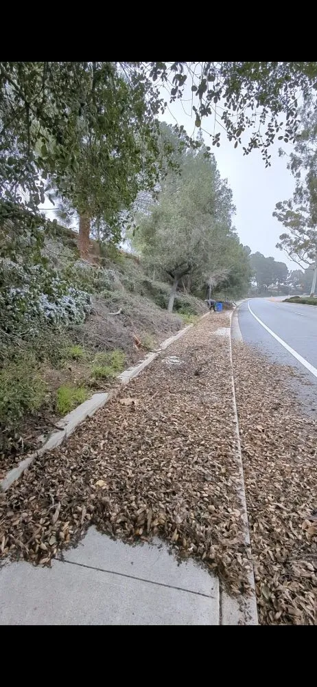 Affordable yard maintenance in Ventura, CA by Coastland landscape paint services