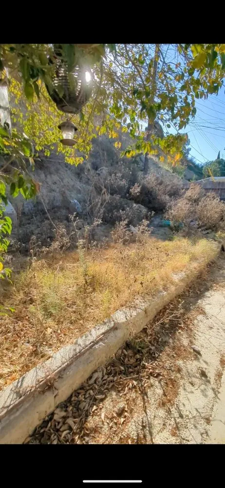 Expert yard cleanup service for residential properties across Ventura, CA - Coastland landscape paint services