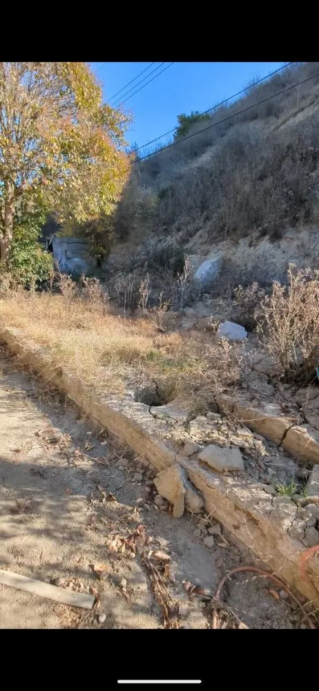 Top-rated landscape installation experts serving Ventura, CA - Coastland landscape paint services