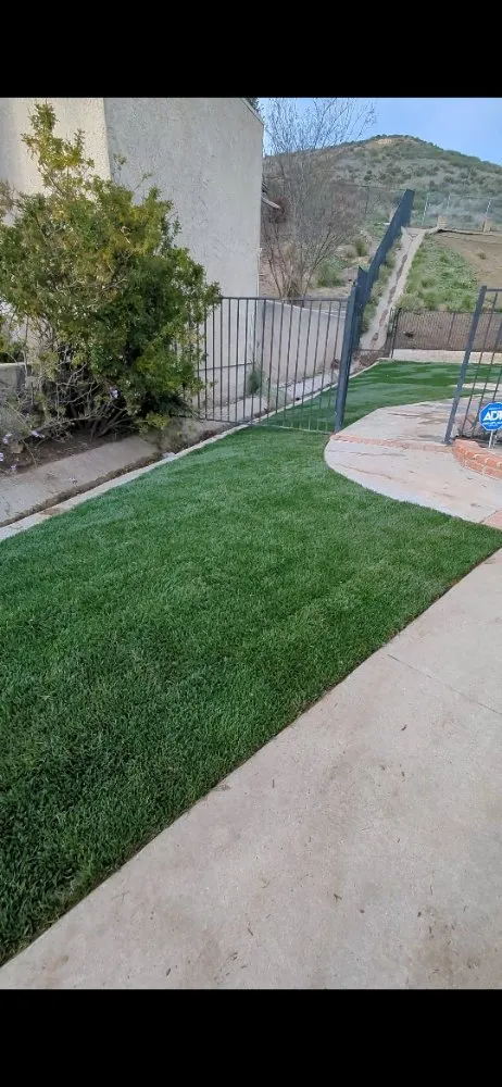 Top-rated yard maintenance in Ventura, CA by Coastland landscape paint services