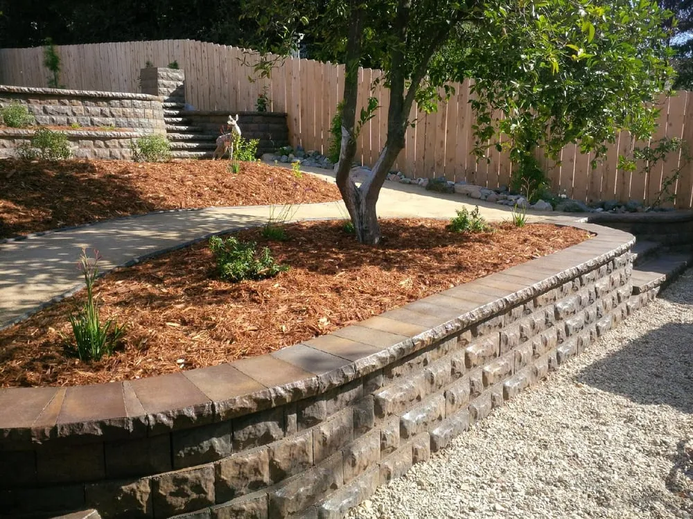 Professional yard cleanup service experts serving Pismo Beach, CA - Coastland