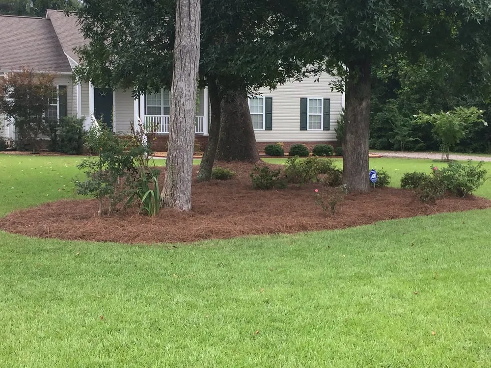 Affordable landscaping services in Holly Ridge, NC - Coastline Concepts Landscaping