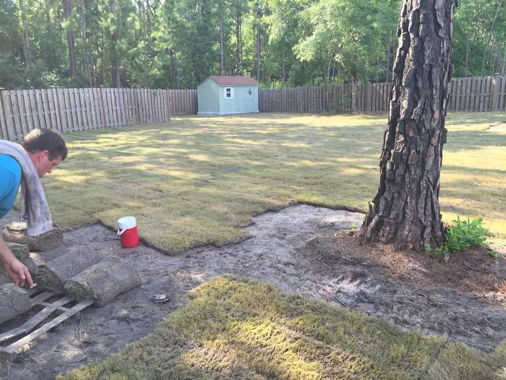 Expert lawn mowing service in Holly Ridge, NC by Coastline Concepts Landscaping